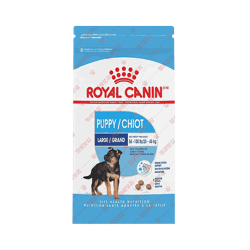 로얄캐닌 ROYAL CANIN Large Puppy Dry Dog Food