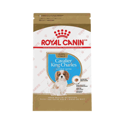 로얄캐닌 ROYAL CANIN Cavalier King Charles Puppy Dry Dog Food