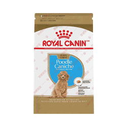 로얄캐닌 ROYAL CANIN Poodle Puppy Dry Dog Food