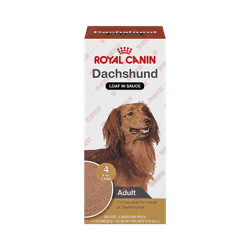 로얄캐닌 ROYAL CANIN Dachshund Adult Loaf in Sauce Canned Dog Food