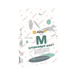 알파벳 모빌리티 케어