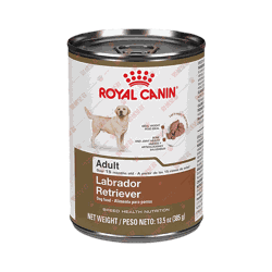 로얄캐닌 ROYAL CANIN Labrador Retriever Adult Loaf in Sauce Canned Dog Food