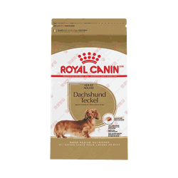 로얄캐닌 ROYAL CANIN Dachshund Adult Dry Dog Food