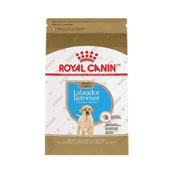 로얄캐닌 ROYAL CANIN Labrador Retriever Puppy Dry Dog Food