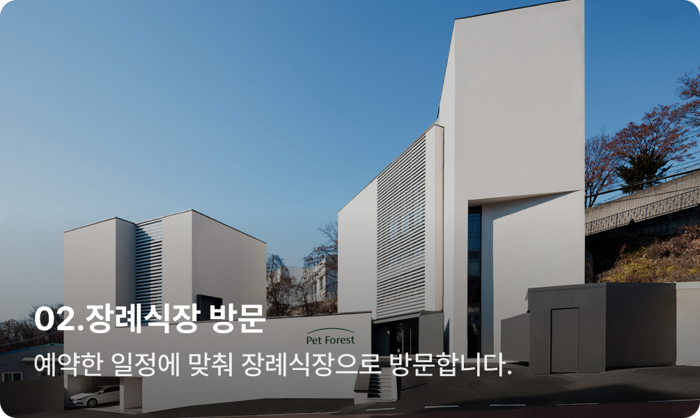 슬라이드 2