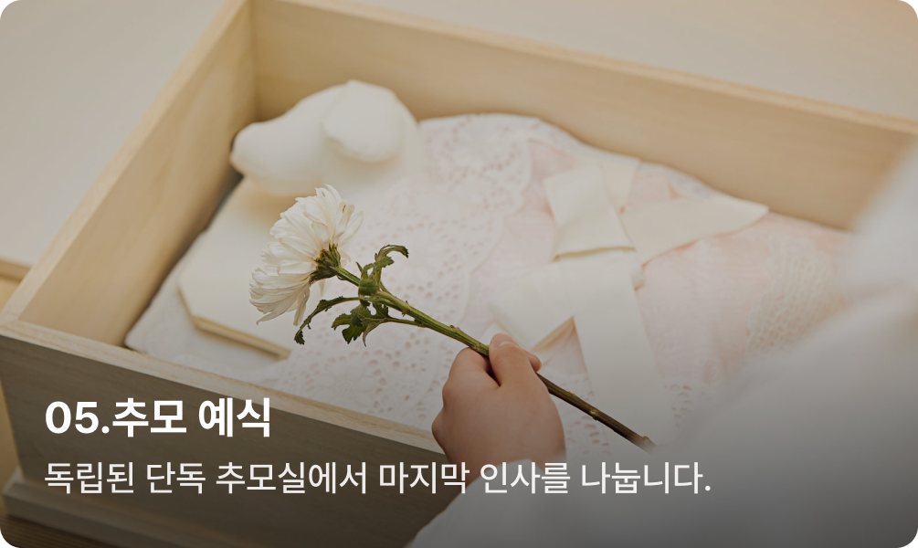 슬라이드 5