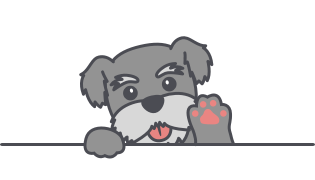 슈나우저 from 멍냥보감